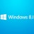 Cannot Install Synaptics Touchpad Driver fix